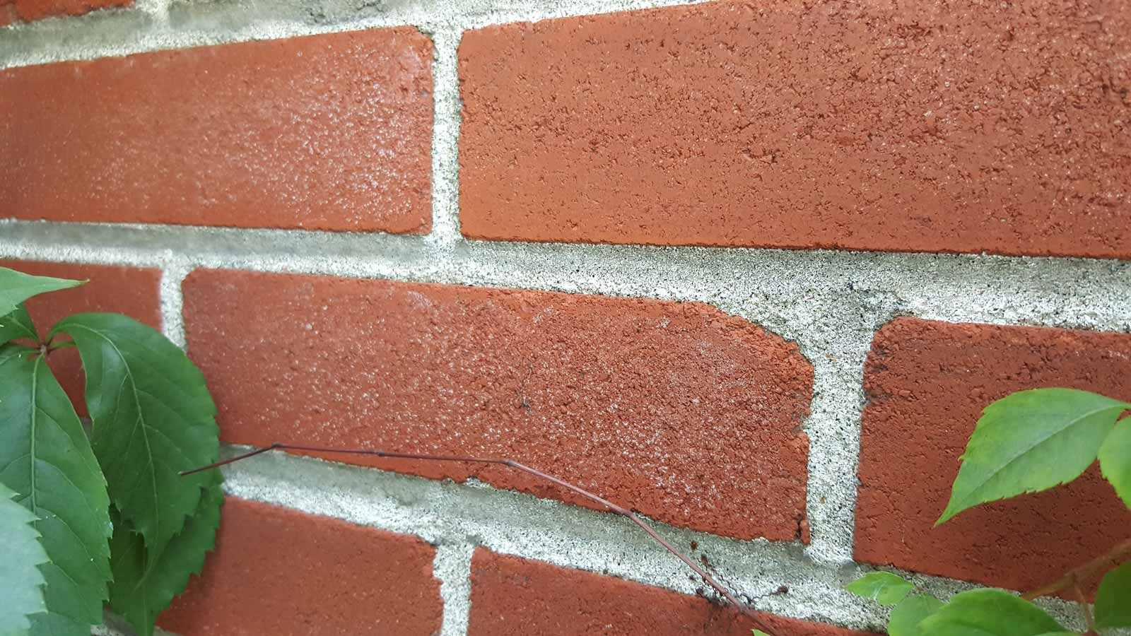 Photo prise avec le Galaxy Note 5 (voir le fichier original).