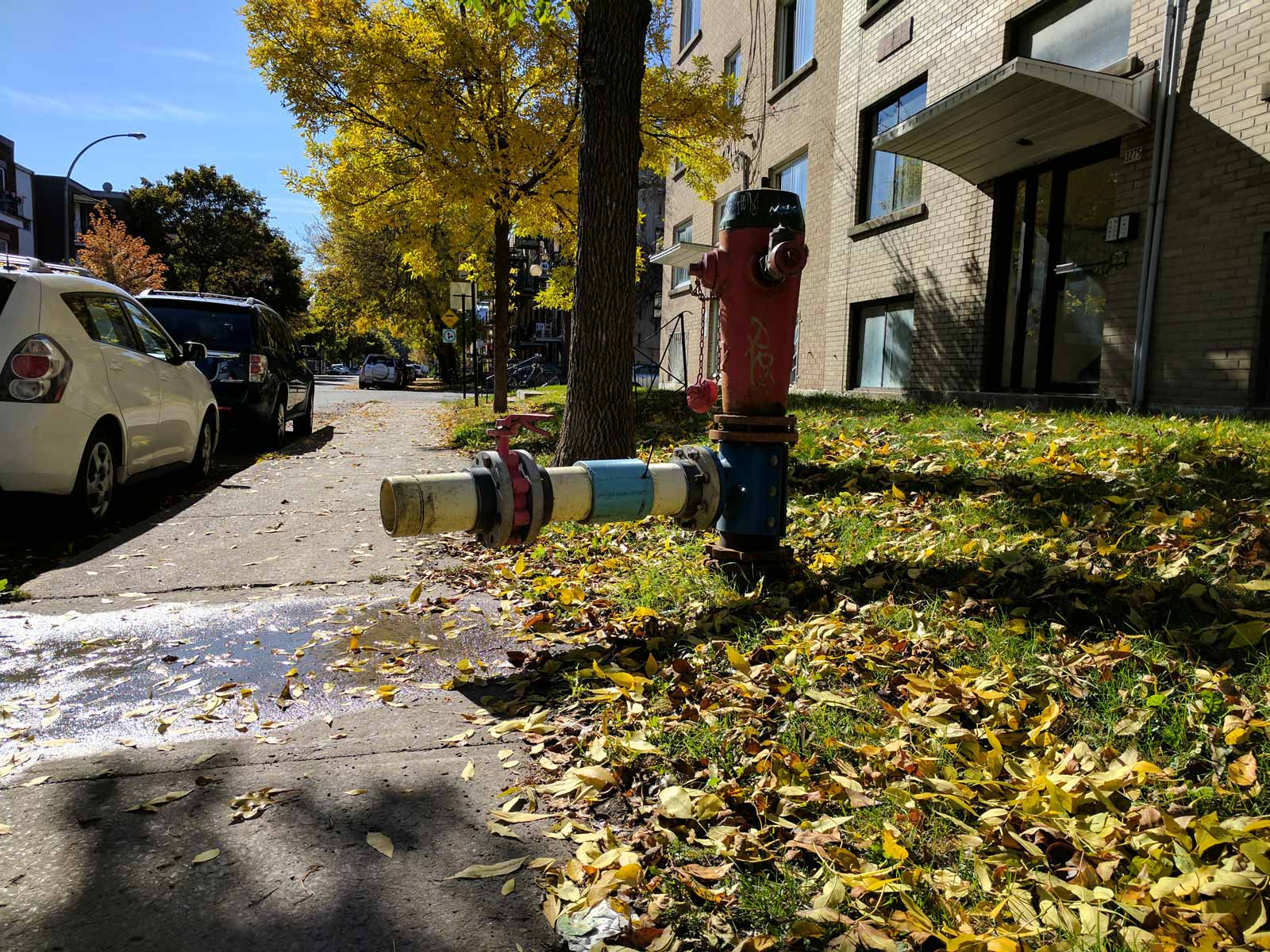 Photo prise avec le Pixel XL (voir le fichier original).