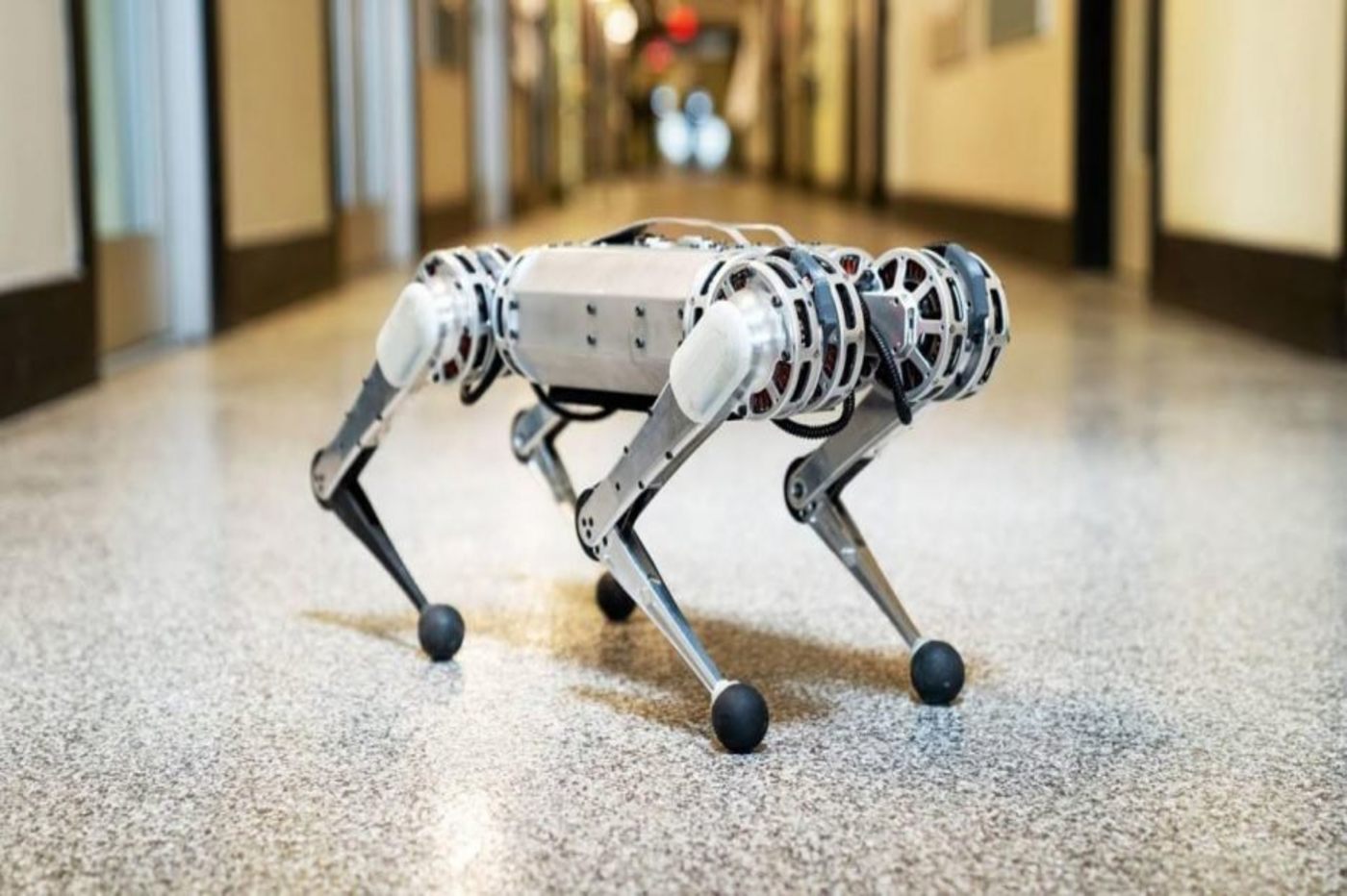 Cheetah, le robot du MIT, sait faire des sauts périlleux arrière