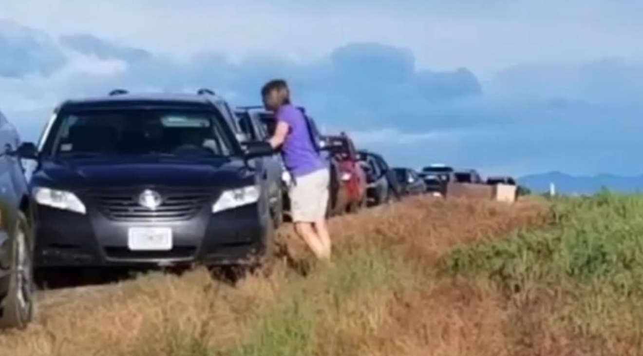 Google Maps : des centaines d'automobilistes bloqués sur un chemin de terre