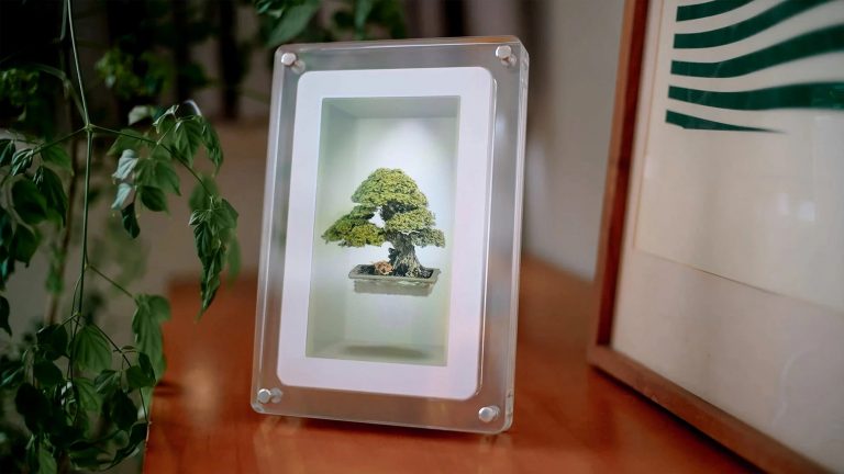 Le Musubi de Looking Glass posé sur une table et affichant une image en relief sans lunettes