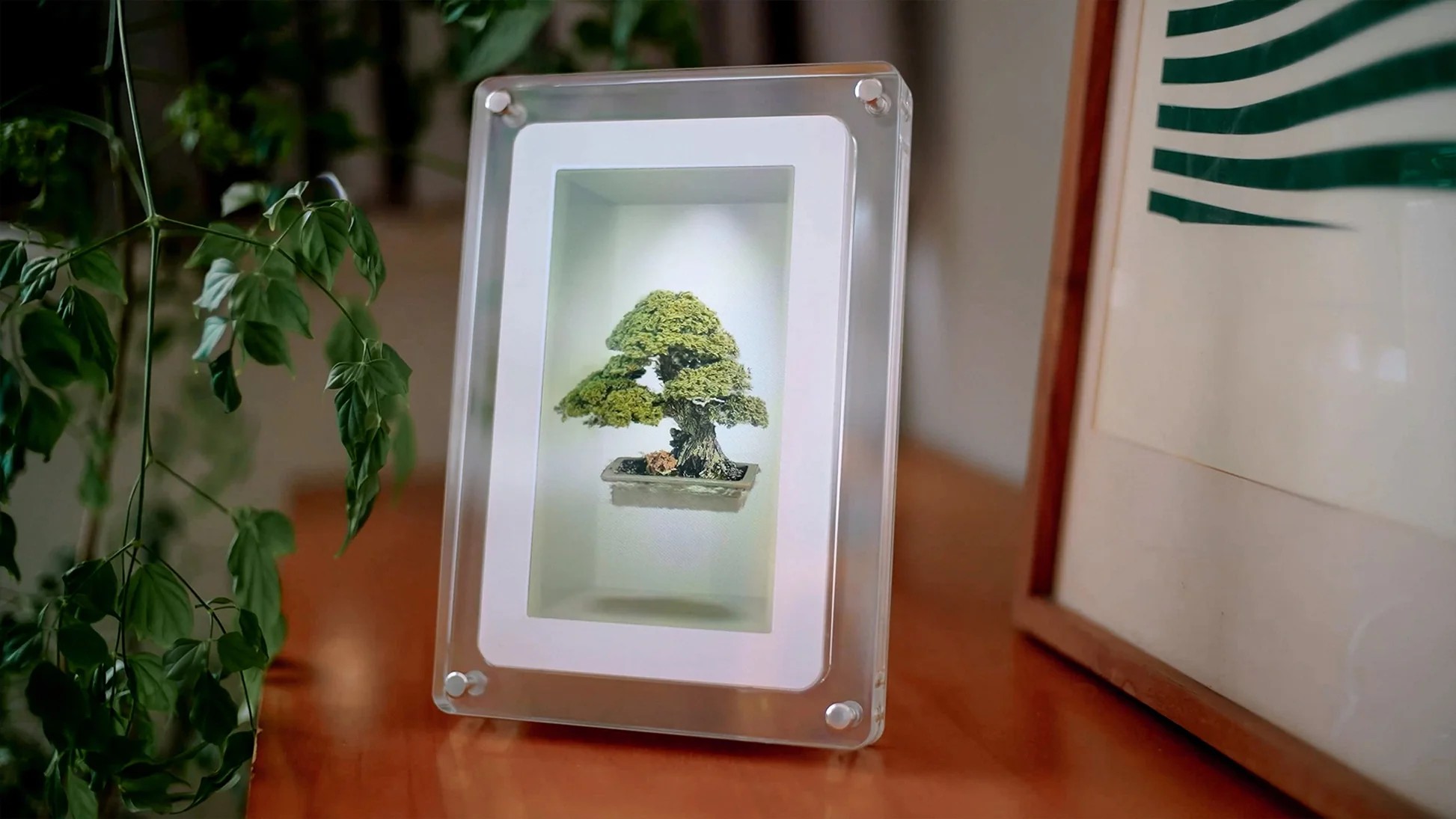 Le Musubi de Looking Glass posé sur une table et affichant une image en relief sans lunettes