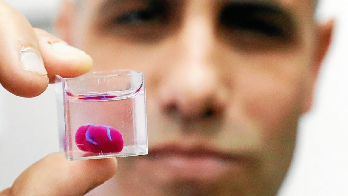 Un cœur en 3D imprimé par des chercheurs