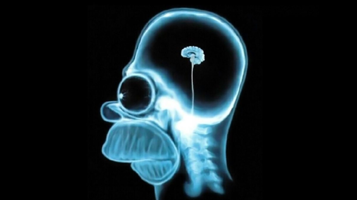 homerbrain